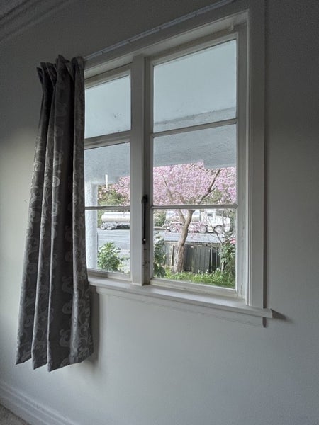 Appleby, 4 bedrooms, $610 pw — photo 6